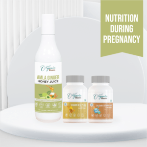 Nutrition During Pregnancy